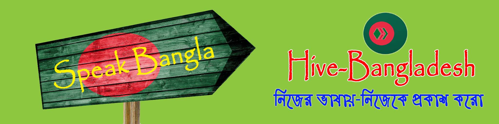 Hive Bangladesh-cover copy.jpg